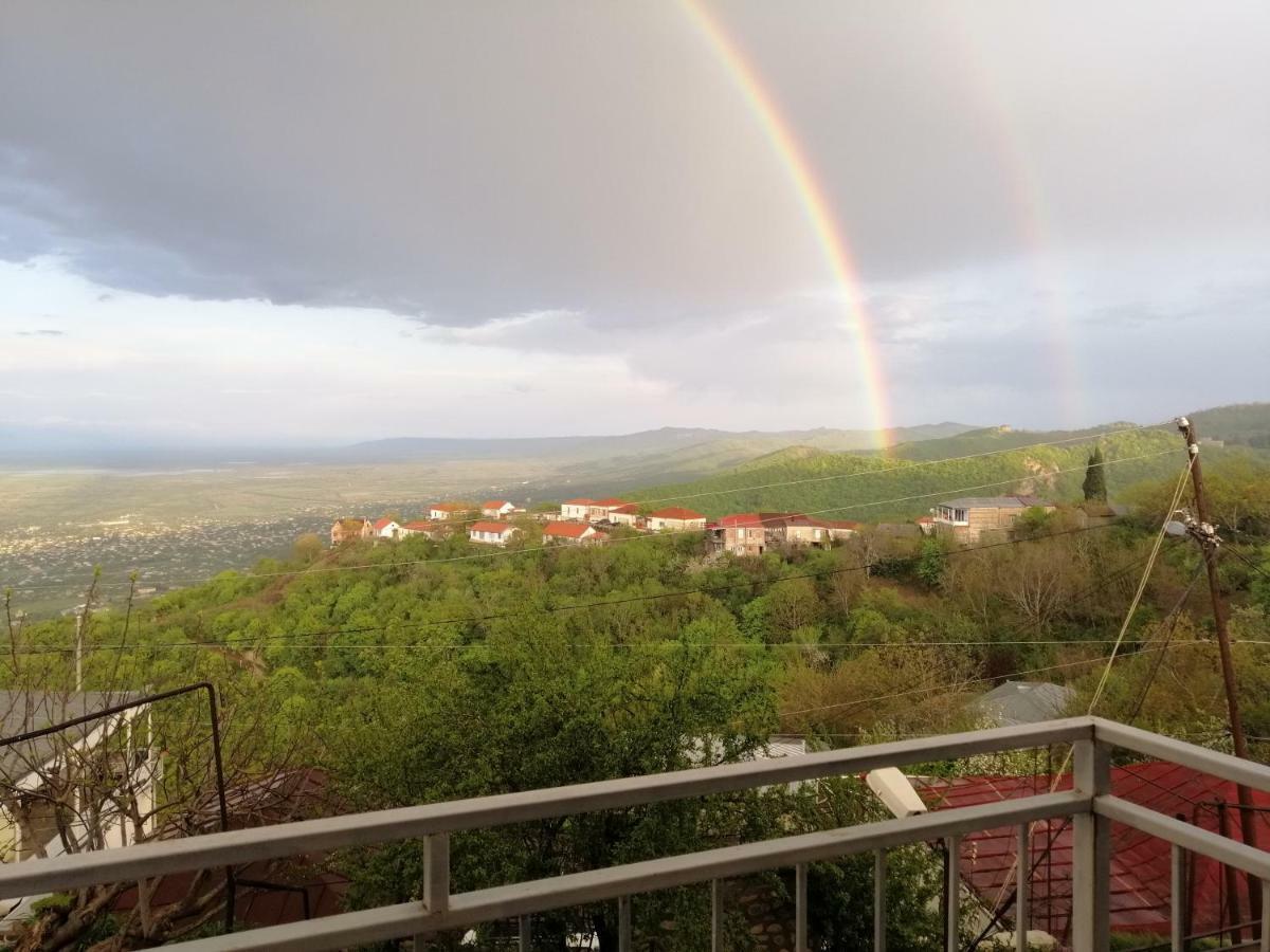 Guest House Alazani Valley Sighnaghi Exterior foto